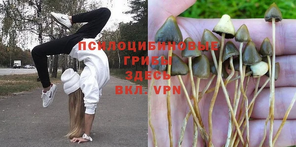 винт Аркадак